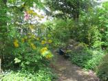 Garten_Tierarzt__11.JPG