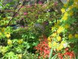 Garten_Tierarzt__12.JPG