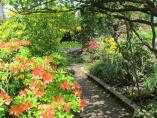 Garten_Tierarzt__17.JPG