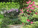 Garten_Tierarzt__19.JPG