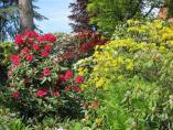 Garten_Tierarzt__20.JPG