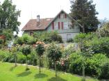 Garten_Tierarzt__31.JPG