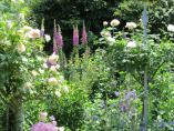 Garten_Tierarzt__36.JPG