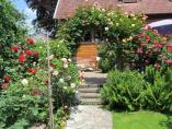 Garten_Tierarzt__52.JPG