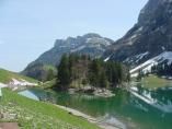 Appenzeller_Land_13.JPG