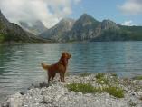 Lnersee_50.JPG