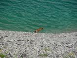 Lnersee_54.JPG