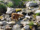 Lnersee_57.JPG