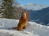 Bartholomberg_Montafon_45.JPG