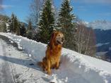 Bartholomberg_Montafon_46.JPG