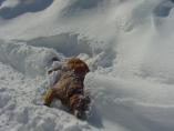 Arlberg_15.JPG
