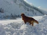Arlberg_25.JPG
