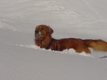 Arlberg_44.JPG