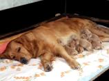 g118_Lunas_Babys_2012_103.jpg