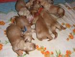 g118_Lunas_Babys_2012_104.jpg