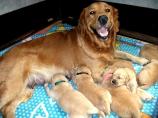 g118_Lunas_Babys_2012_105.jpg