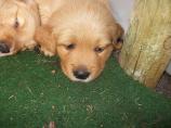 g118_Lunas_Babys_2012_110.jpg