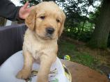 g118_Lunas_Babys_2012_111.jpg