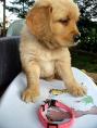 g118_Lunas_Babys_2012_113.jpg