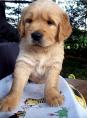 g118_Lunas_Babys_2012_114.jpg