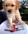 g118_Lunas_Babys_2012_115.jpg