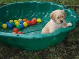 g118_Lunas_Babys_2012_117.jpg