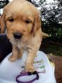g118_Lunas_Babys_2012_119.JPG