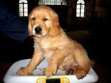 g118_Lunas_Babys_2012_120.JPG