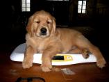 g118_Lunas_Babys_2012_121.JPG
