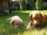 g118_Lunas_Babys_2012_122.JPG