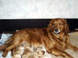 Bella_Babies_07-2006___1_004.jpg