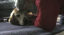 07_12_2012_22.jpg