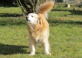 Mico_02-2014_8.jpg
