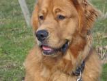 Tino_02-2014_4.jpg