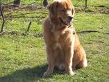 Tino_02-2014_5.jpg