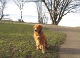 Tino_02-2014_6.jpg