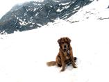Tino_19.03.2014_16.JPG
