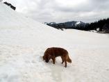 Tino_19.03.2014_39.JPG
