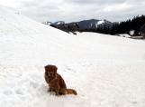 Tino_19.03.2014_40.JPG