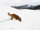 Tino_19.03.2014_45.JPG