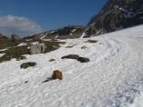 Tino_19.03.2014_61.JPG