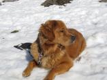 Tino_19.03.2014_65.JPG