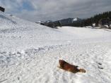 Tino_19.03.2014_66.JPG