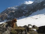 Tino_19.03.2014_69.JPG