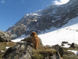 Tino_19.03.2014_70.JPG