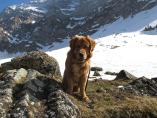 Tino_19.03.2014_71.JPG