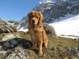Tino_19.03.2014_74.JPG