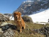 Tino_19.03.2014_75.jpg