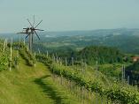 DSC05673.JPG